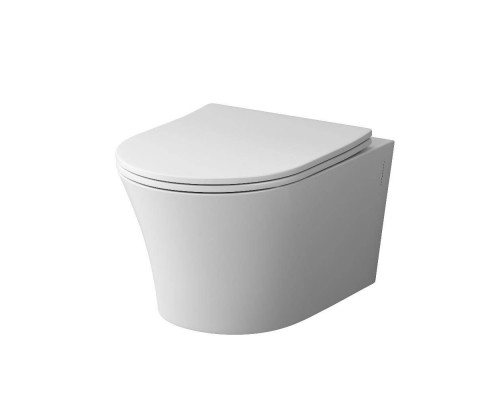 Унитаз подвесной безободковый AM.PM Skyline с сиденьем микролифт DX35C1700SC