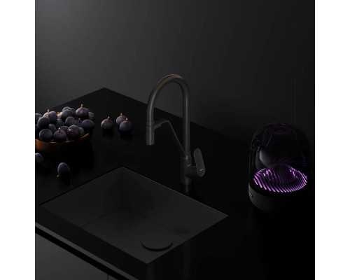 Смеситель для кухни AM.PM Like с каналом для питьевой воды и гибким изливом F8007822