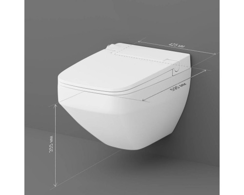 Унитаз подвесной безободковый AM.PM с крышкой-биде CCC50A1700SC