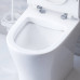 Унитаз-компакт безободковый AM.PM Spirit V2.0 с сиденьем микролифт DX86C8600SC