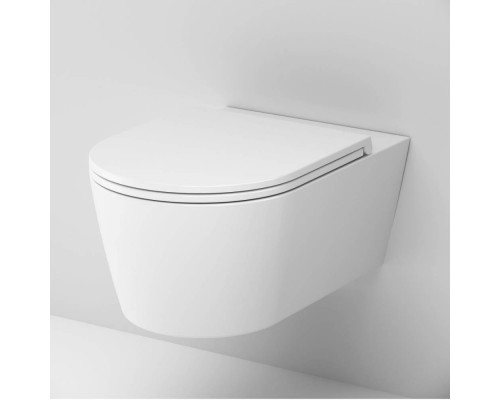 Унитаз подвесной AM.PM Func FlashClean с сиденьем микролифт C8F1701SC