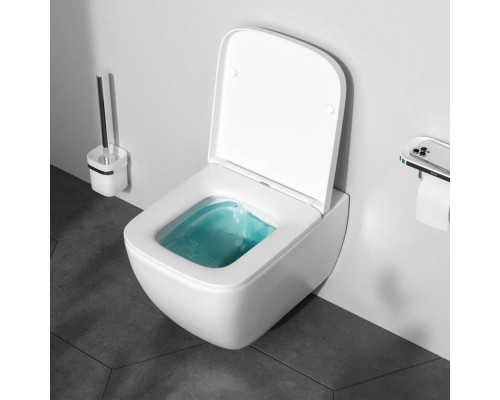 Унитаз подвесной AM.PM Gem FlashClean с сиденьем микролифт C901701SC