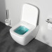 Унитаз подвесной AM.PM Gem FlashClean с сиденьем микролифт C901701SC