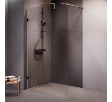 Душевая перегородка AM.PM Walk In 120х195 см W94UWI-120-F1-BTE