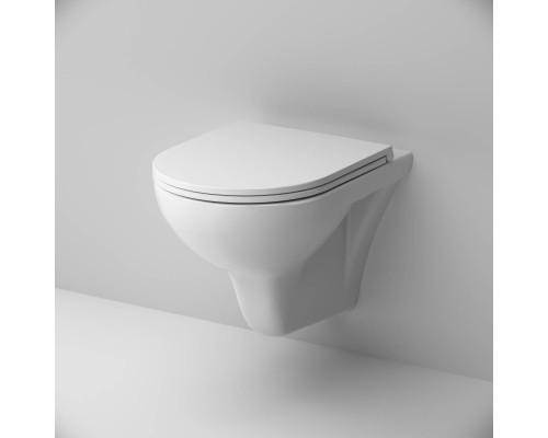 C901700SC Унитаз подвесной FlashClean с сиденьем микролифт