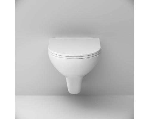 C901700SC Унитаз подвесной FlashClean с сиденьем микролифт