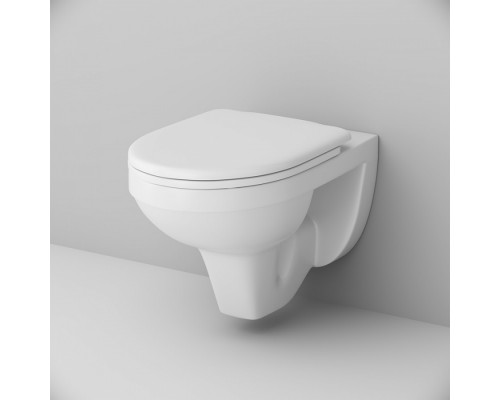 DX77C1738SC Унитаз подвесной с сиденьем микролифт