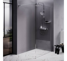 Душевая перегородка AM.PM Walk In 120x200 см W84WI-120-F1-MTE