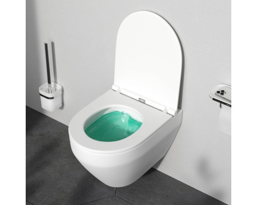 Унитаз подвесной AM.PM Spirit V2.0 FlashClean с сиденьем микролифт матовый C701700MWSC