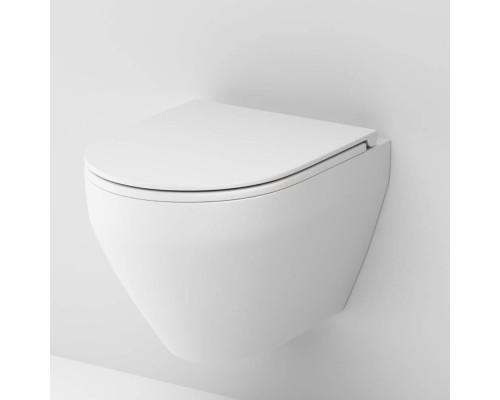 Унитаз подвесной AM.PM Spirit V2.0 FlashClean с сиденьем микролифт матовый C701700MWSC