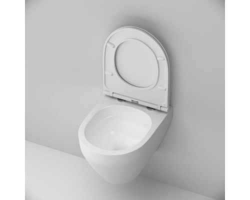 Унитаз подвесной AM.PM Spirit V2.0 FlashClean с сиденьем микролифт матовый C701700MWSC