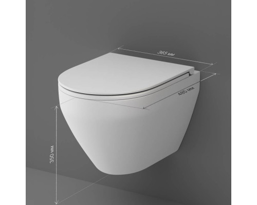 Унитаз подвесной AM.PM Spirit V2.0 FlashClean с сиденьем микролифт матовый C701700MWSC