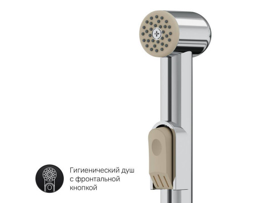 Смеситель для раковины AM.PM Gem с гигиеническим душем F90A03000