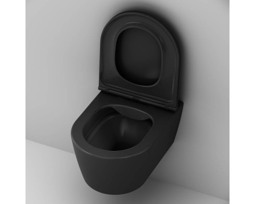 Унитаз подвесной AM.PM Func FlashClean с сиденьем микролифт матовый C8F1700MBSC