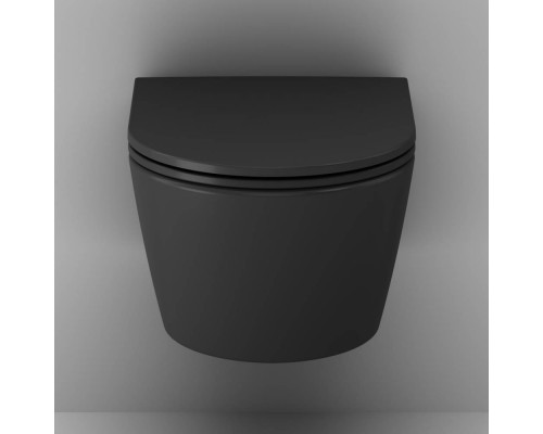 Унитаз подвесной AM.PM Func FlashClean с сиденьем микролифт матовый C8F1700MBSC